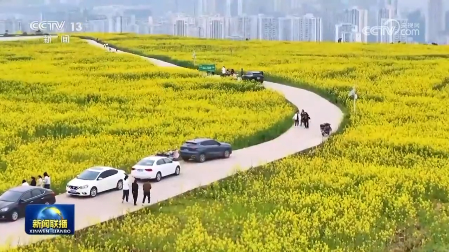 6-修改图片尺寸.jpg